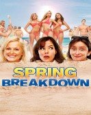 Spring Breakdown poster