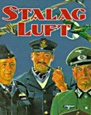 poster_stalag-luft_tt0108210.jpg Free Download