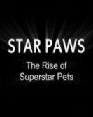 Star Paws: The Rise of Superstar Pets Free Download