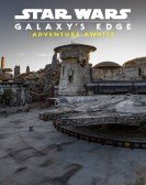 poster_star-wars-galaxys-edge-adventure-awaits_tt10951528.jpg Free Download