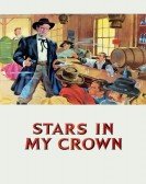 Stars in My Crown poster