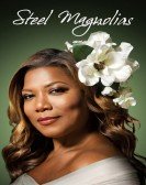 Steel Magnolias Free Download