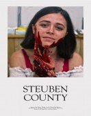 Steuben County poster