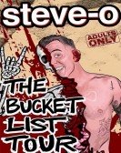 Steve-O's Bucket List poster