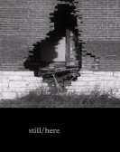 still/here poster