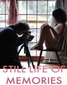 Still Life of Memories Free Download