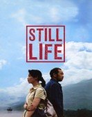 Still Life Free Download