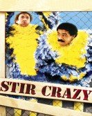 poster_stir-crazy_tt0081562.jpg Free Download