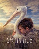 Storm Boy Free Download