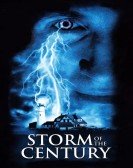 Storm Of The Century poster
