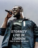 Stormzy Live in London: This Is What We Mean Free Download