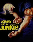 poster_story-of-a-junkie_tt0088179.jpg Free Download