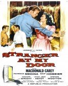 Stranger at My Door poster