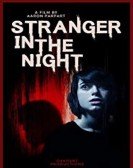 Stranger in the Night Free Download