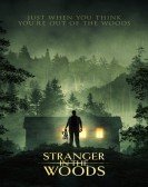 poster_stranger-in-the-woods_tt19316408.jpg Free Download