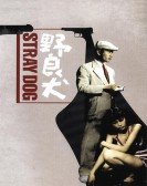 野良犬 (1949) Free Download