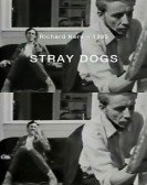 Stray Dogs poster