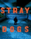 Stray Dogs Free Download