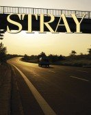 Stray poster