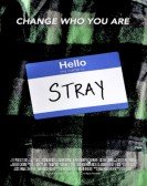 Stray poster