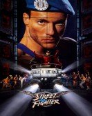 poster_street-fighter_tt0111301.jpg Free Download