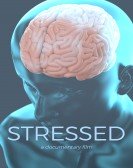 Stressed (2019) Free Download