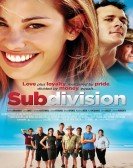 Subdivision poster