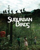 Suburban Birds (2018) poster