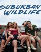 Suburban Wildlife poster