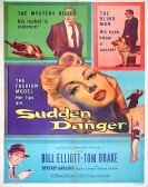 Sudden Danger Free Download