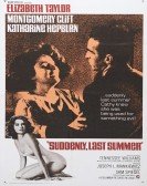 Suddenly, Last Summer (1959) poster