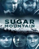 Sugar Mountain Free Download