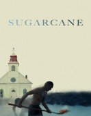 poster_sugarcane_tt30319854.jpg Free Download