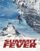 Summit Fever Free Download