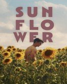 Sunflower Free Download