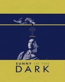 Sunny in the Dark Free Download