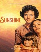 Sunshine Free Download