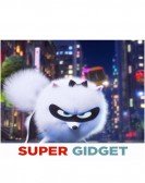 poster_super-gidget_tt10627764.jpg Free Download