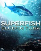 Superfish: Bluefin Tuna Free Download