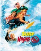 poster_surf-ninjas_tt0108258.jpg Free Download