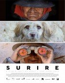 Surire poster