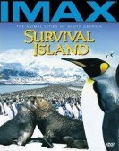 poster_survival-island_tt0120248.jpg Free Download