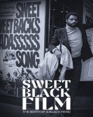 Sweet Black Film: The Birth of the Black Hero in Hollywood Free Download