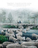 poster_sweetgrass_tt1517252.jpg Free Download