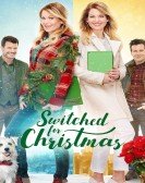 Switched for Christmas Free Download