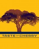 Taste of Cherry poster