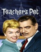 Teacher's Pet poster