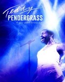 Teddy Pendergrass: If You Don't Know Me poster