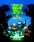 Teenage Mutant Ninja Turtles II: The Secret of the Ooze Free Download