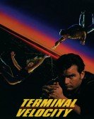 poster_terminal-velocity_tt0111400.jpg Free Download